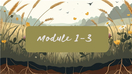 Group Banner Picture